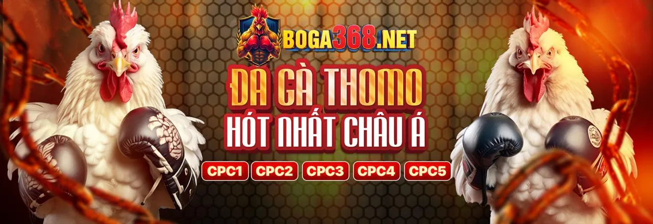 Hình ảnh tổng hợp các trò chơi đa dạng tại hi2999